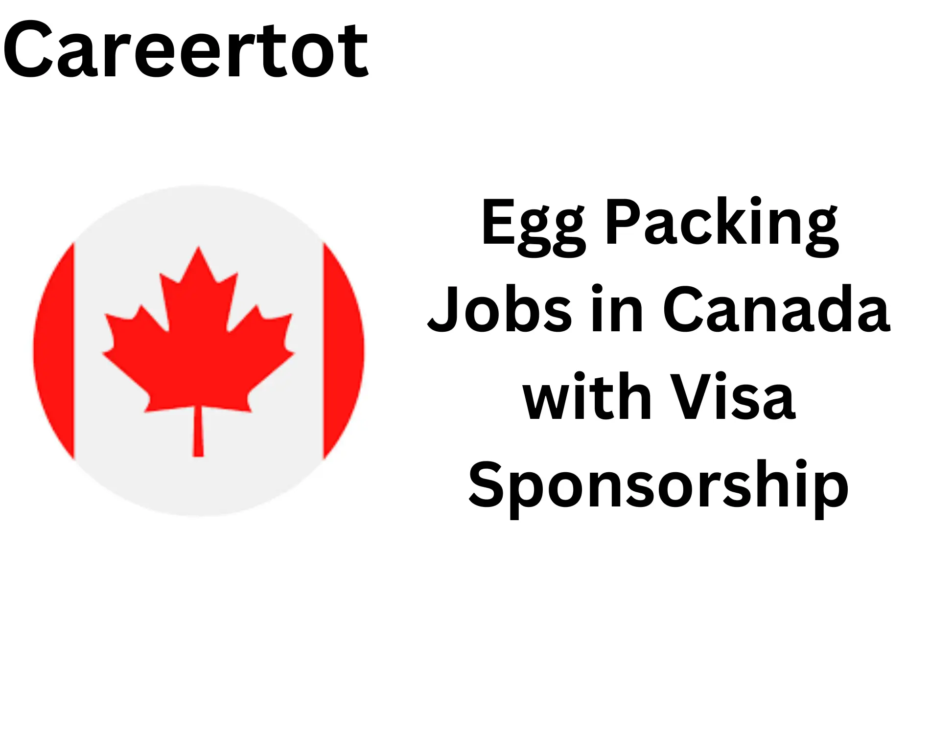 Egg Packing Jobs in Canada with Visa Sponsorship| 2025/2026| $30 per hour