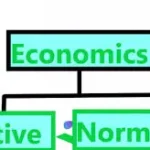 Positive and Normative Economics | Differences